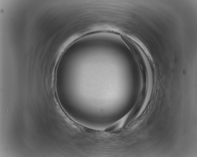 X0000081310815200701111306