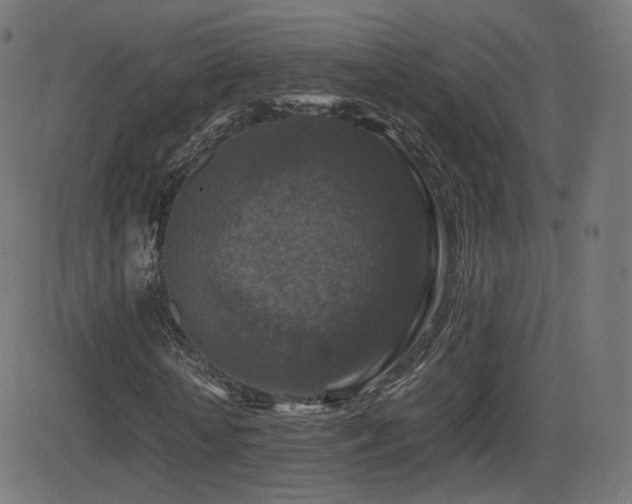 X0000081310818200701111306