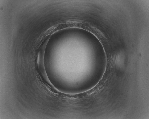 X0000081310821200701111306