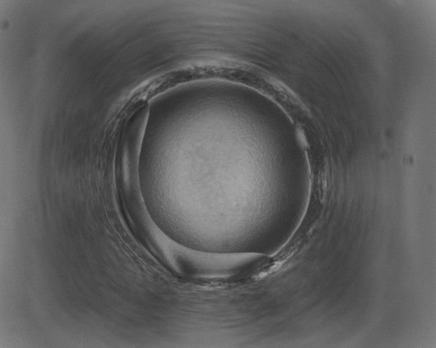 X0000081310822200701111306