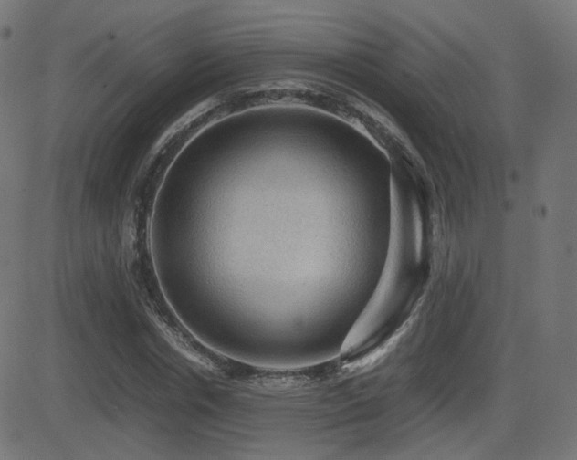 X0000081310826200701111306