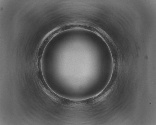 X0000081310830200701111306