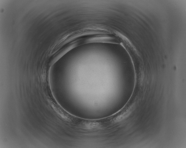 X0000081310833200701111306