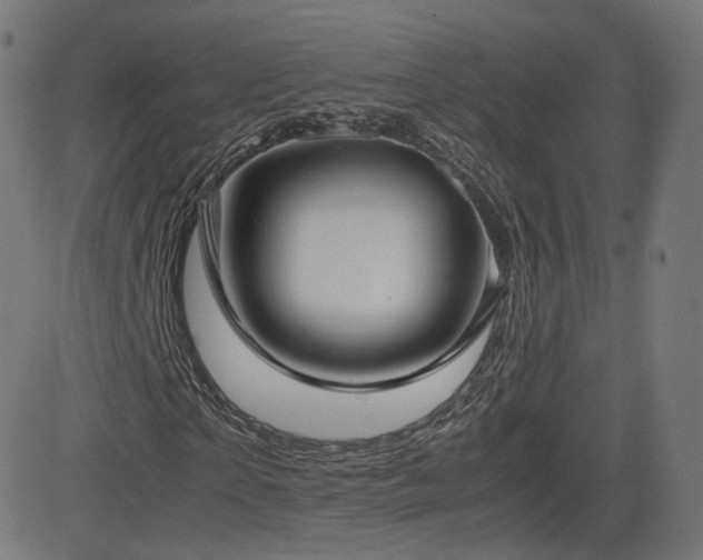 X0000081310865200701111306