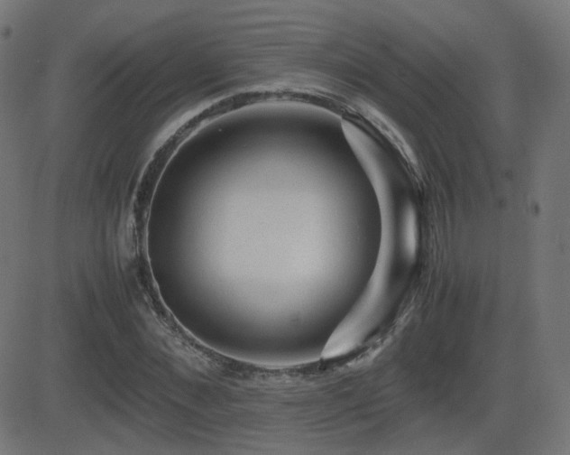 X0000081310876200701111305