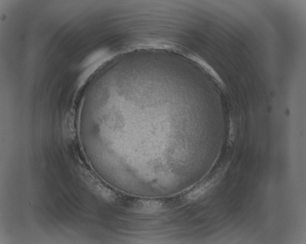 X0000081310878200701111305