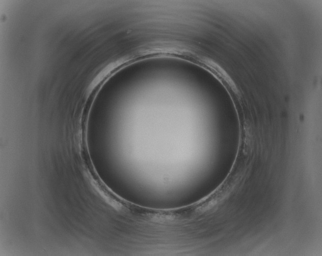X0000081310890200701111305