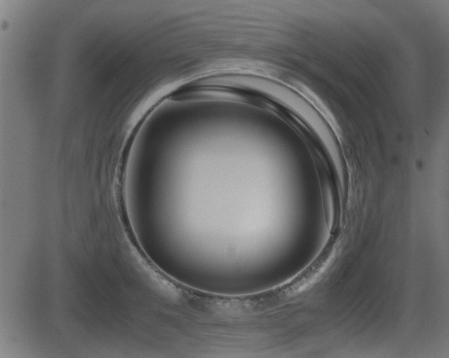 X0000081310901200701111305