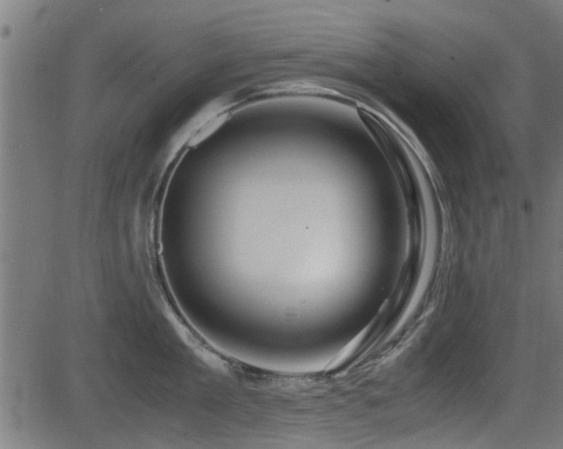 X0000081310909200701111305