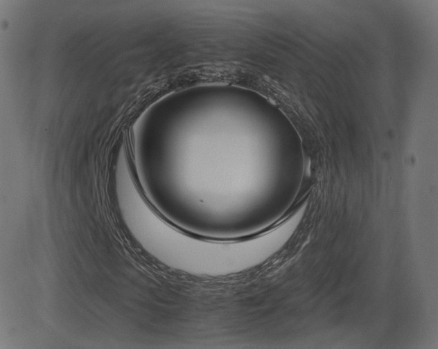 X0000081310913200701111304