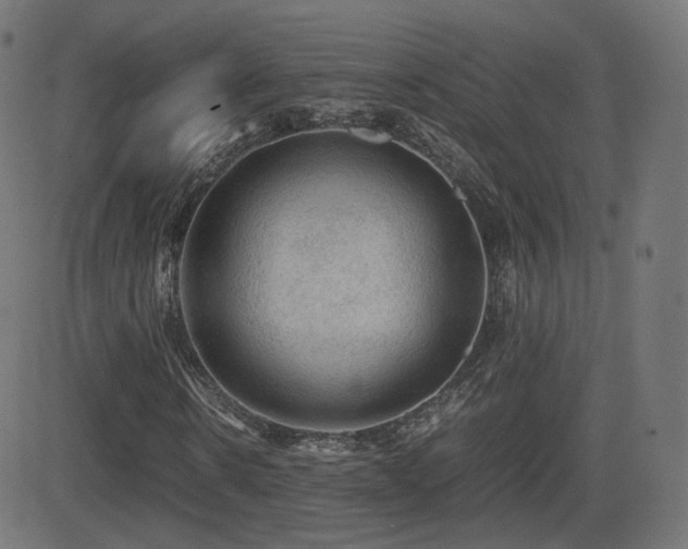 X0000081310914200701111304