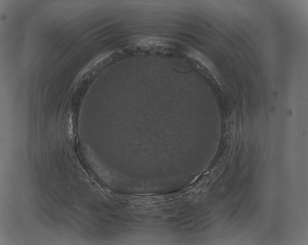 X0000081310919200701111304
