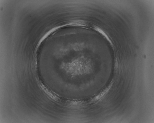 X0000081310923200701111304