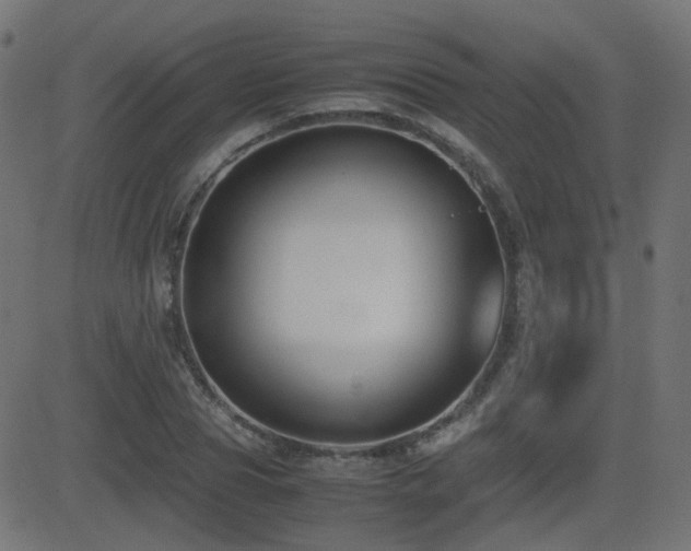 X0000081310929200701111304