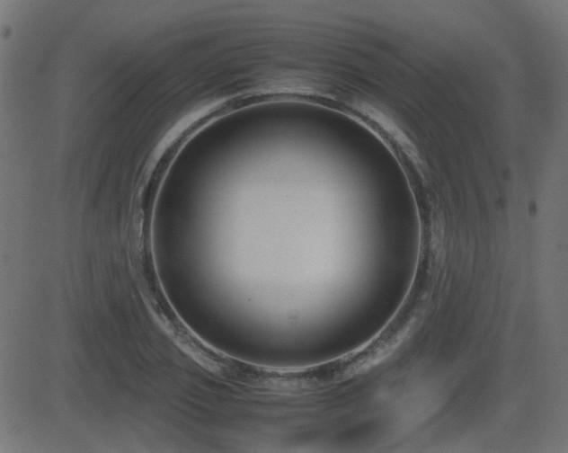 X0000081310933200701111304