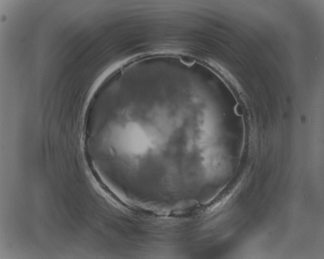 X0000081310941200701111304
