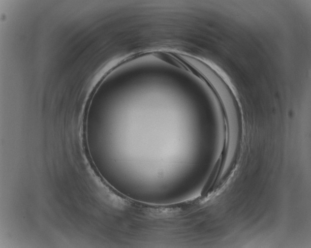 X0000081310949200701111305
