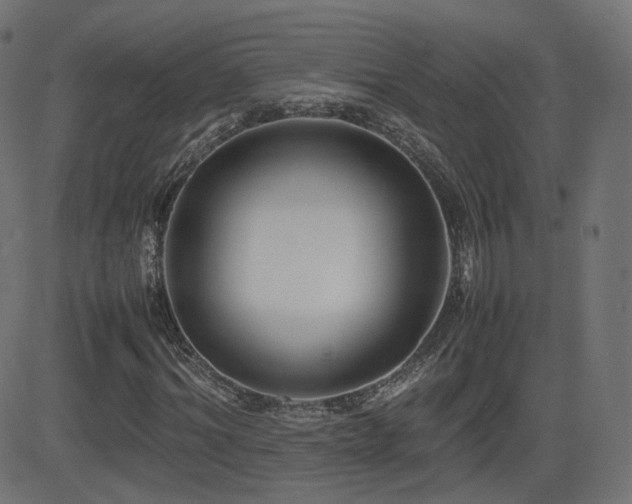X0000081310964200701111304