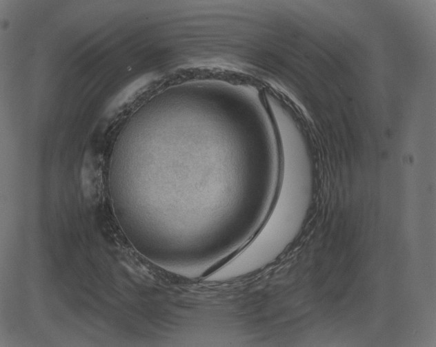 X0000081310968200701111304
