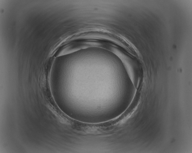 X0000081310969200701111304