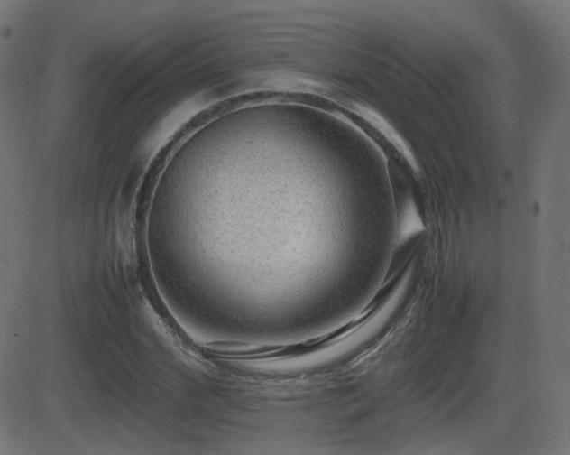 X0000081310972200701111304