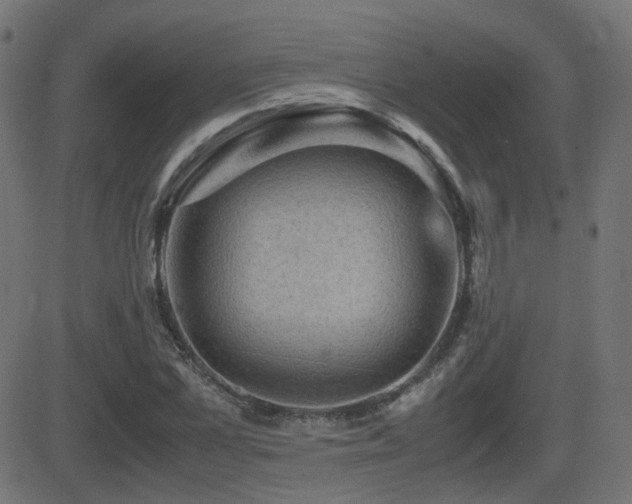 X0000081310973200701111304