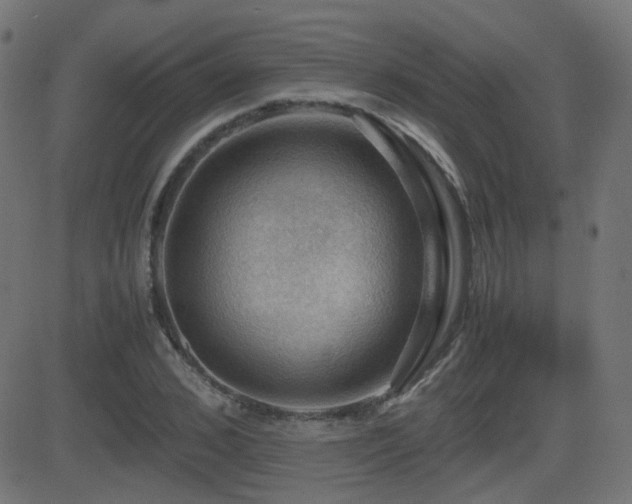 X0000081310976200701111304