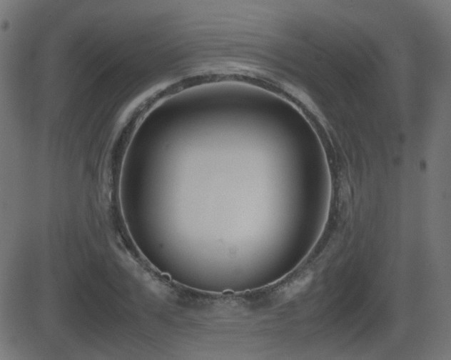X0000081310979200701111304