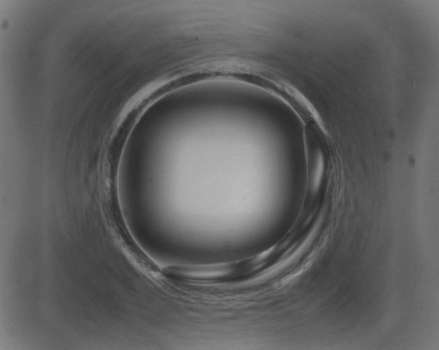 X0000081310981200701111304