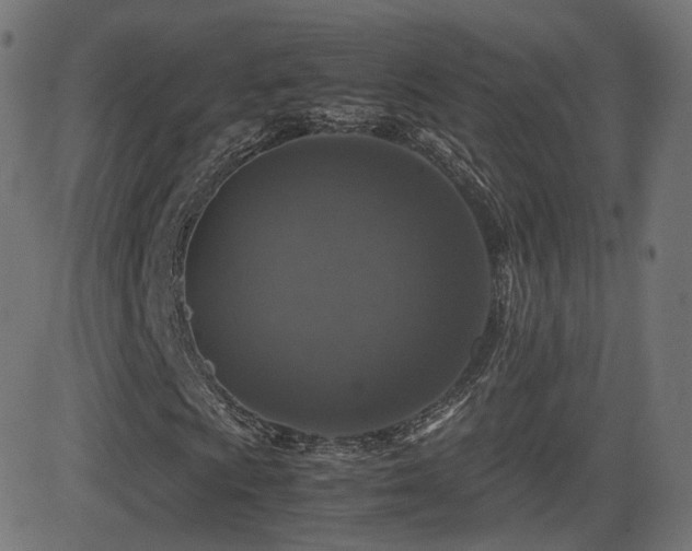 X0000081311009200701111302