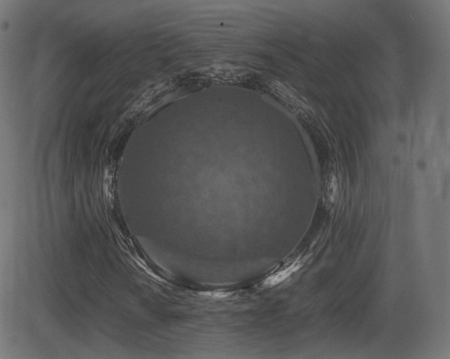 X0000081311010200701111302