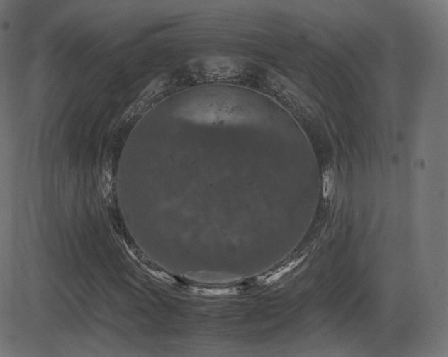 X0000081311011200701111302