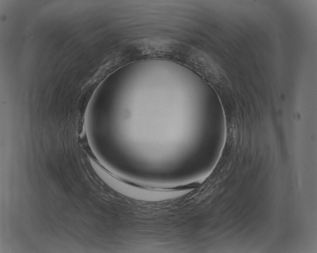 X0000081311012200701111302