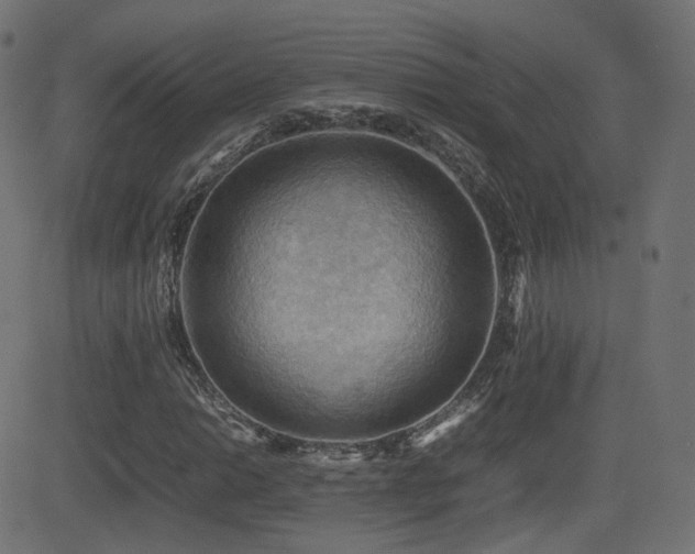 X0000081311014200701111302