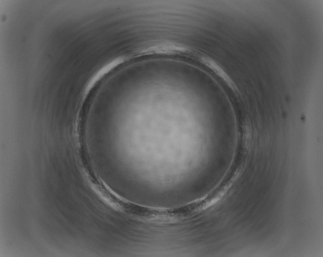 X0000081311026200701111303