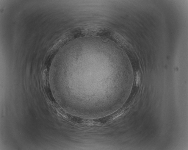 X0000081311059200701111302
