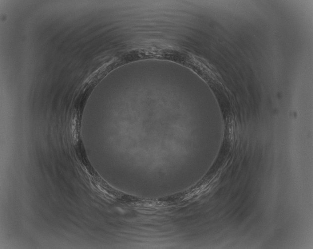 X0000081311060200701111302