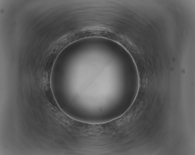 X0000081311062200701111302
