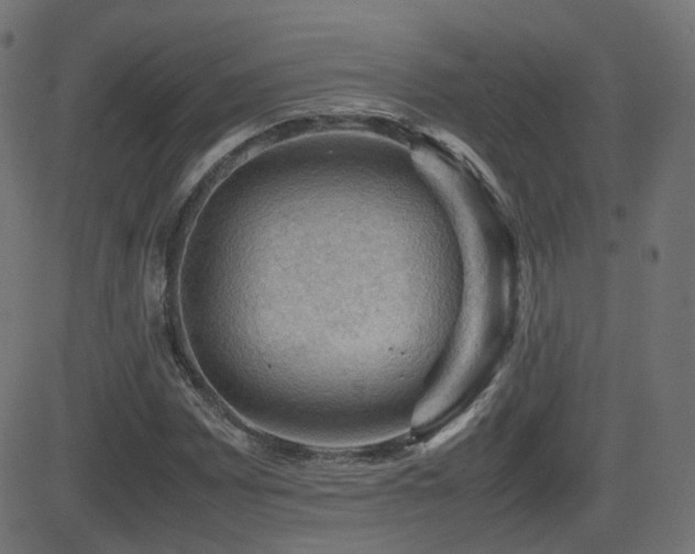 X0000081311065200701111302