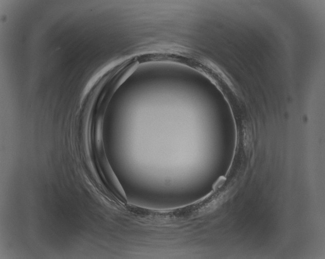 X0000081311069200701111302