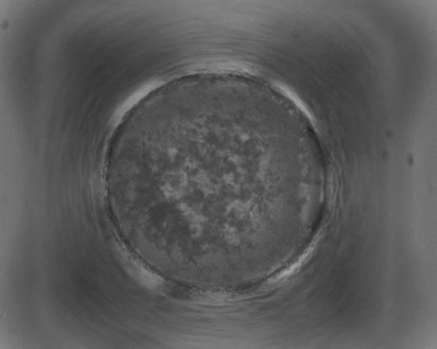 X0000081311071200701111302