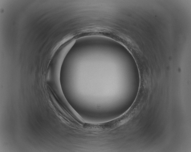 X0000081311073200701111302