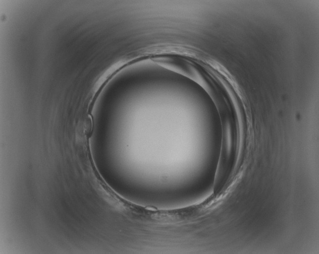 X0000081311089200701111302
