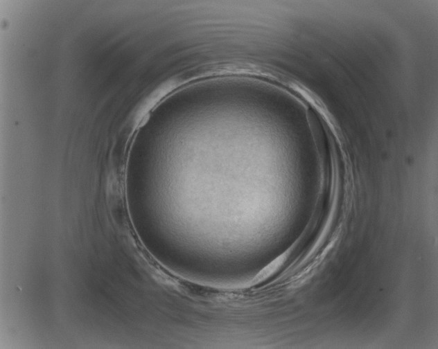 X0000081311097200701111302