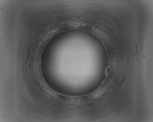 X0000081311105200701111301