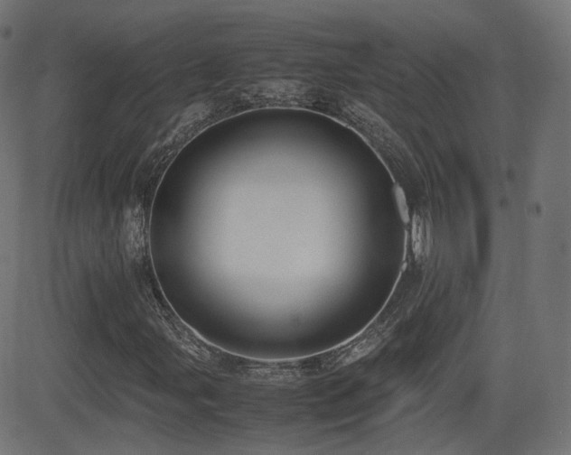 X0000081311107200701111301