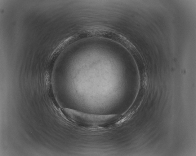 X0000081311108200701111301