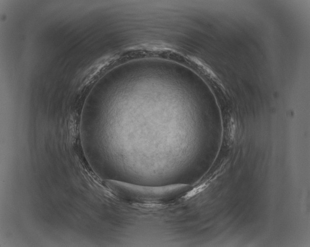 X0000081311110200701111301