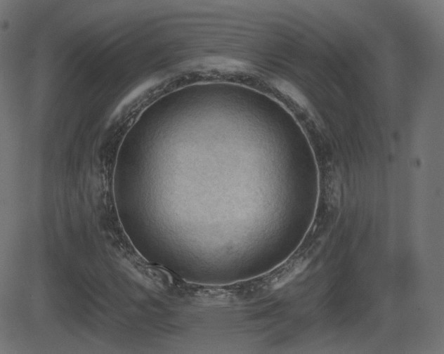 X0000081311112200701111301