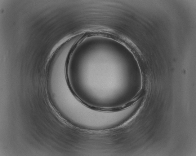 X0000081311114200701111301